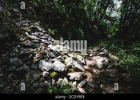 Schattiger Waldweg mit einem hellen sonnendurchfluteten Abschnitt, der einen frischen Felssturz aus moosbedeckten Schiefersteinen hervorhebt, umgeben von dichtem grünen Laub in einem Ru Stockfoto
