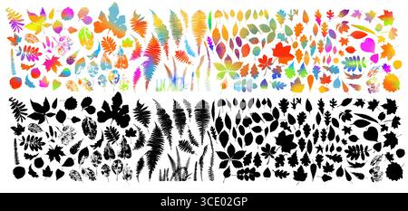 Set von farbigen und schwarzen Blättern verschiedener Bäume. Handgezeichnet. Nicht AI, Vektorillustration Stock Vektor