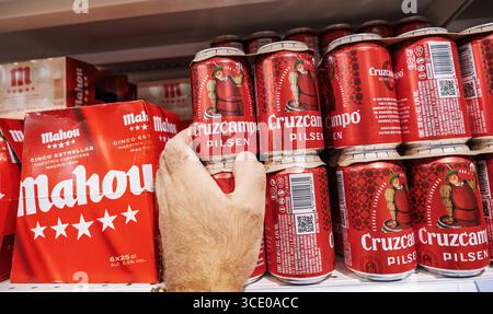 Inca, Spanien - 21. Juli 2025: Nahaufnahme einer Hand, die Cruzcampo Pilsen Bierdosen aus einem spanischen Supermarktregal abholte, wobei Mahou Bierpackungen sichtbar waren Stockfoto