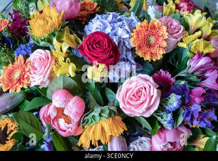 Ein lebendiger Blumenstrauß mit verschiedenen Arten von verschiedenen Blumen, einschließlich rosa und rosa Rosen, große blaue Hortensie Blüte, hell orange Gerbera da Stockfoto