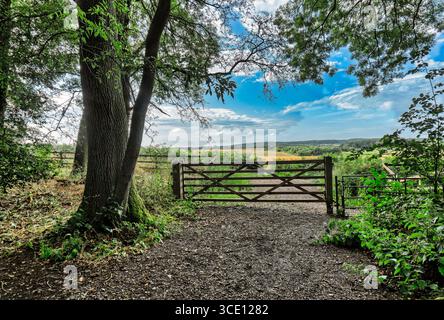 Hölzerne Torlandschaft England, Eingangstor auf der Farm in Großbritannien, Feldweg im Wald Stockfoto