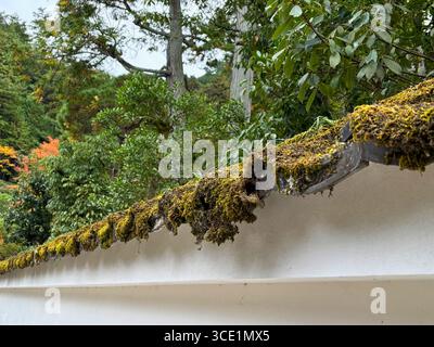 Buddhistischer Tenjuan-Tempel in Kyoto Japan Stockfoto