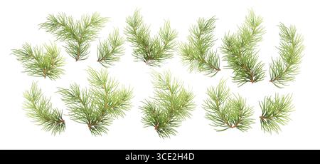 Vektor-Illustration Hintergrund von realistischen grünen Kiefernzweigen auf einer weißen Oberfläche, die Waldlaub und Feiertagsthemen darstellt Stock Vektor