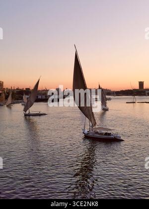 Feluken segeln auf dem Nil in Assuan, Ägypten – rosafarbenes Licht über Elephantine Island und nubische Flüsse. Traditionelle Segelboote in der Abenddämmerung. Stockfoto