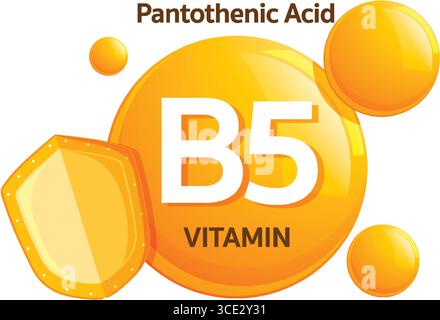 Helle Vektorillustration von Vitamin B5 Pantothensäure mit orangefarbenen glänzenden Kugeln, Schildsymbol und fettgedrucktem Text in einem modernen flachen Design Stock Vektor