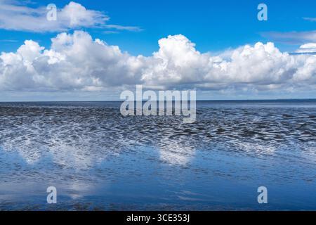 Wattenmeer zwischen der niederländischen Küste in der Nähe von Eemshaven und der deutschen Nordseeinsel Borkum, Nationalpark Wattenmeer, UNESCO-Weltkulturerbe, niedrig Stockfoto