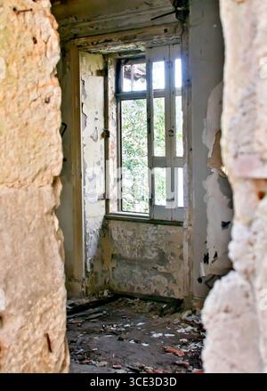 Innenansicht eines verlassenen Gebäudes mit Schwerpunkt auf einem Fenster mit abblätternder Farbe und Blick auf das Laub draußen. Stockfoto