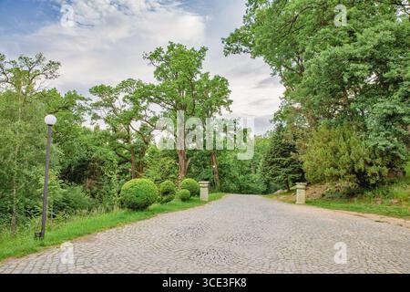Ein kopfsteingepflasterter Pfad, umgeben von üppigem Grün und gepflegten Sträuchern im malerischen Park des Palastes der Grafen Schönborn, Chynadiieve, Ukraine. Stockfoto