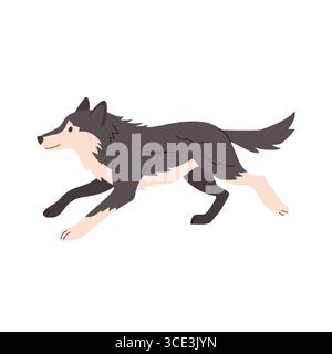 Flache Illustration eines laufenden Wolfs in Seitenansicht, mit dunkelgrauem Fell und helleren cremefarbenen Akzenten. Dynamische Haltung und klare Linien machen ihn ideal für Stock Vektor