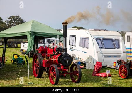 Stithians, Cornwall, Großbritannien. August 2025. Große Menschenmassen nehmen an der West of England Great Steam Engine Rally Teil, die zum 70. Jahrestag stattfindet und bis Sonntagabend stattfindet. Es ist die älteste und größte Dampflokomotive in Cornwall mit über 100 Dampfausstellungen, einem Jahrmarkt aus alter Zeit, Kunsthandwerk, Verkaufsständen, Oldtimern, US Army Fahrzeuge, Traktoren und Motorräder. Quelle: Keith Larby/Alamy Live News Stockfoto