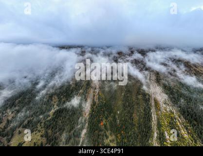 Ein dramatisches Luftbild, das einen dichten Wald auf einem Berghang zeigt, der in einer dicken Decke aus weißen Wolken und Nebel verschwindet und ein mysteriöses Atmo schafft Stockfoto