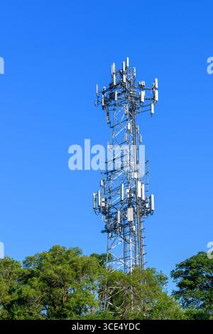 Ein hoher Metallzellenturm steht über Baumkronen, bedeckt mit Antennen und Sendern unter einem klaren blauen Himmel. Stockfoto