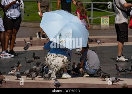 Ein asiatischer Tourist auf der Plaza de Catalunya, der sich vor der Sonne und hohen Temperaturen mit einem Regenschirm schützt, während er Tauben füttert. Die Küste Barcelonas steht unter extremer Wetterwarnung mit hohen Temperaturen. Die Stadt leidet seit Wochen unter hohen Temperaturen. Die Hitze beeinträchtigt die Gesundheit der Bewohner, belästigt den Tourismus und erschöpft Obdachlose. Stockfoto