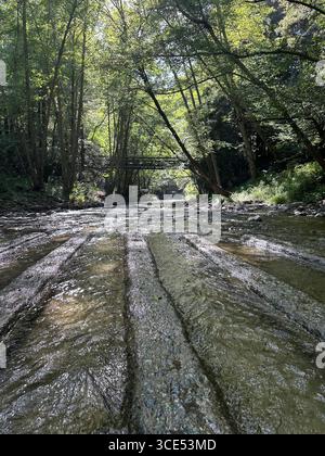 Malerische Aussicht auf einen flachen Fluss mit strukturierten Felskämmen, die durch einen grünen Wald fließen, mit Sonnenlicht, das durch das Baumdach und eine kleine Brücke filtert Stockfoto