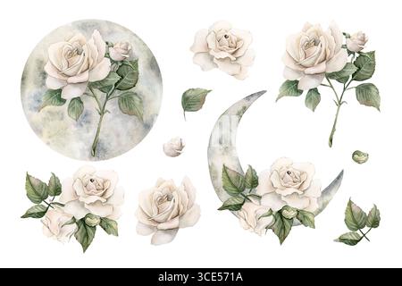 Weiße Rosen mit Knospen Blätter und Sichel Mond Clipart Set Blume Arrangements Aquarell handgemalt florale isolierte Illustration für Hochzeit Design Stockfoto