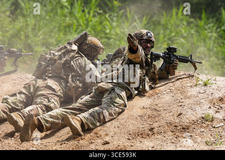8. August 2025: Gyeonggido [Kyonggi-Do], Südkorea - US-Army-Sgt. Rykeem Wimberly, ein Kampfingenieur der 630th Engineer Company, 11th Engineer Battalion, 2nd Infantry Division Sustainment Brigade, signalisiert seinem Team, während eines Live-Feuertrainings im Rodriguez Live Fire Complex, Südkorea, am 8. August 2025 voranzukommen. Diese Schulung soll dazu beitragen, Vertrauen in die Taktiken kleiner Führungseinheiten zu stärken und die Mission weiter voranzutreiben, um das Feuer im Truppenfeuer zu erreichen. (Credit Image: © US Army/ZUMA Press Wire) NUR REDAKTIONELLE VERWENDUNG! Nicht für kommerzielle ZWECKE! Stockfoto