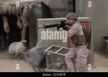 Camp Lejuene, North Carolina, USA. August 2025. Captain Hunter Roessler, Leiter des Feuerwehrkontrollteams 4th Air Naval Gunfire Liaison Company, Force Headquarters Group, Marine Corps Forces Reserve, begibt sich während der Übung Burmese Chase 25 im Marine Corps Base Camp Lejeune, North Carolina, im August an einen neuen Ort. 8, 2025. Burmese Chase ist ein jährlich von den USA geführtes, multilaterales Training, das Boden- und Luftfeuer, Infanterietaktiken und Marinegeschütze neben NATO-Verbündeten integriert, um die Kampfbereitschaft und Interoperabilität zu verbessern. (Kreditbild: © US Marines/ZUM Stockfoto