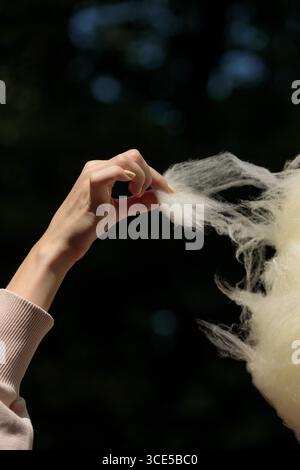 Das Bild zeigt eine Nahaufnahme einer Hand, die sanft eine leichte, luftige Substanz ergreift, die Zuckerwatte ähnelt, und sich auf einem sanft verschwommenen natürlichen Backdro befindet Stockfoto