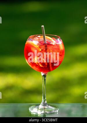 Glas klassischer roter Cocktail mit Eis und Grapefruitstücken auf grünem Gartenhintergrund Stockfoto