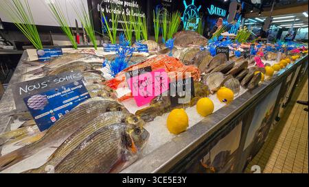 Frischer Fisch vom Nachtfischen auf dem Eis auf der Theke des typischen französischen Marktes. Juni 2025. Soulac sur Mer, Medoc, Aquitaine, Frankreich. Stockfoto
