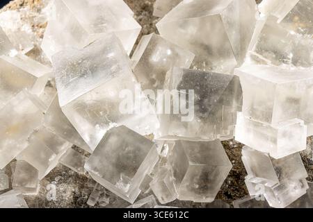 Ein Halite - Steinsalz, Nahaufnahme. Stockfoto