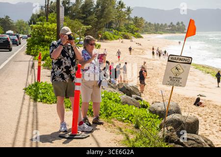 Mann und Frau stehen am Straßenrand neben Laniakea Strand, Haleiwa, Oahu, Hawaii, USA Stockfoto