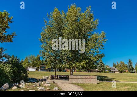 Meewasin Park liegt im River Heights Viertel von Saskatoon. Stockfoto