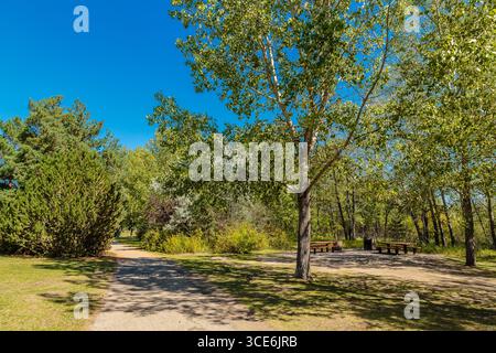 Meewasin Park liegt im River Heights Viertel von Saskatoon. Stockfoto