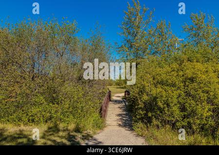 Meewasin Park liegt im River Heights Viertel von Saskatoon. Stockfoto