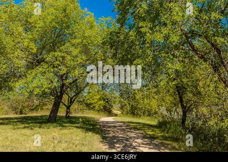 Meewasin Park liegt im River Heights Viertel von Saskatoon. Stockfoto