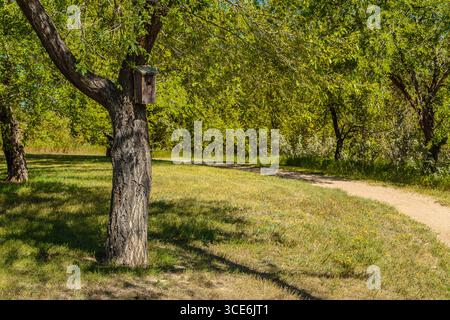 Meewasin Park liegt im River Heights Viertel von Saskatoon. Stockfoto