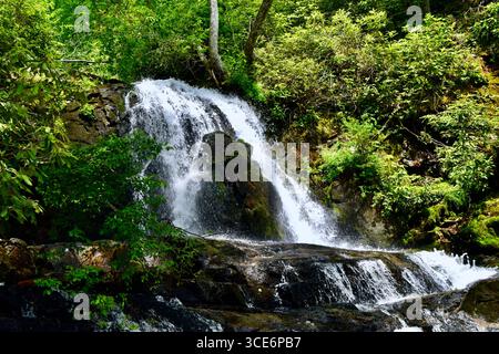 Schöne Laurel Falls, Great Smoky Mountains National Park, Tennessee Stockfoto