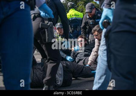August 2025, Melbourne, Australien. Die Polizei verhaftet Transgender-Rechte-Aktivisten, nachdem sie einen Gegenprotest gegen eine Anti-Trans-Kundgebung „Women will Speak“ inszeniert hatten. Quelle: Jay Kogler/Alamy Live News Stockfoto