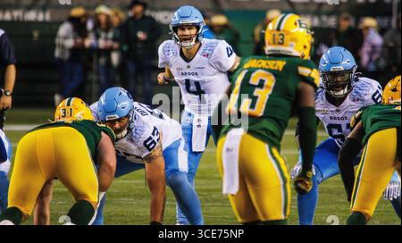 Edmonton, Kanada. August 2025. Toronto Argonauts Quarterback (4) Nick Arbuckle in der regulären CFL-Saison im Commonwealth Stadium. Endpunktzahl Edmonton Elks (3-7) : Toronto Argonauts (2-8) Credit: SOPA Images Limited/Alamy Live News Stockfoto