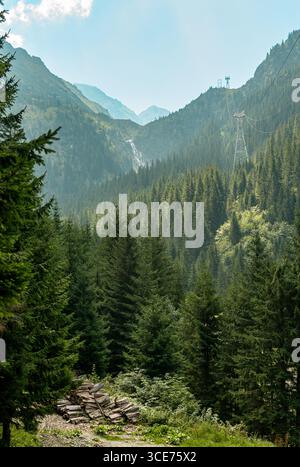 Seilbahn über üppigen Kiefernwald in transfagarasan, rumänien Stockfoto