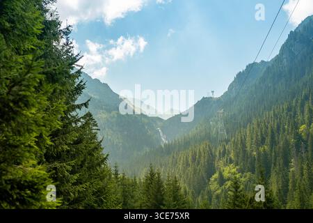 Seilbahn über üppigen Kiefernwald in den rumänischen karpaten Stockfoto
