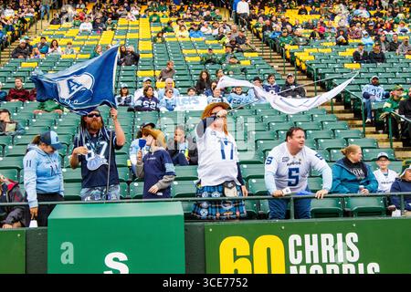 Edmonton, Kanada. August 2025. Die Fans der Toronto Argonauts bejubeln das Spiel zwischen den Toronto Argonauts und den Edmonton Elks während der regulären CFL-Saison im Commonwealth Stadium. Endpunktzahl Edmonton Elks (3-7): Toronto Argonauts (2-8) (Foto: Ron Palmer/SOPA Images/SIPA USA) Credit: SIPA USA/Alamy Live News Stockfoto