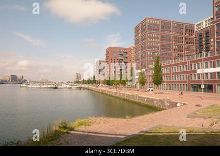 Hochhäuser mit moderner Entwicklung in Katendrecht, Rotterdam, Niederlande Stockfoto