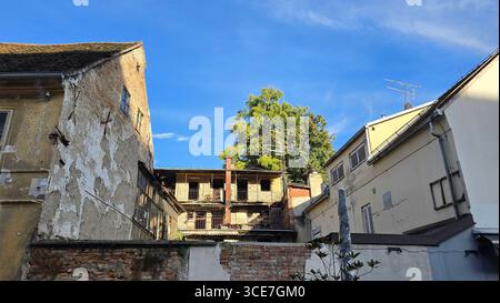 Alte Wohngebäude mit abblätterndem Putz, freiliegendem Mauerwerk und eisernen Balkonen blicken auf ein grünes Baumdach in einem sonnigen, offenen Innenhof darunter Stockfoto