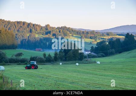 Traktor, der auf dem Land arbeitet. Landwirtschaftlicher Traktor auf breiter grüner Wiese während der Sommersaison. Stockfoto