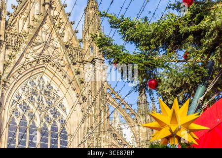 Weihnachtsbaum vor dem historischen Kölner Dom Stockfoto