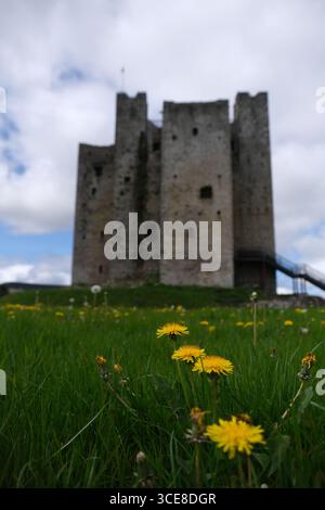 Trim Castle in Co Meath - die Ruinen der Burg aus dem späten 12. Jahrhundert - das größte Gebäude in Irland Stockfoto