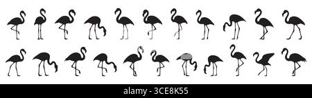 Set aus schwarzer Silhouette von Flamingos, die in verschiedenen Posen laufen, isoliert auf weißem Hintergrund. Konzept der Tierwelt, tropischer Vogel, Flamingo, Symbol, Logo, Stock Vektor