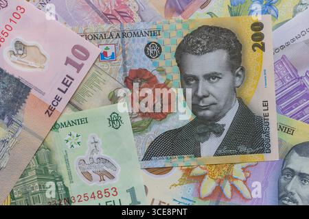 Eine flache Komposition rumänischer Leu-Banknoten Stockfoto