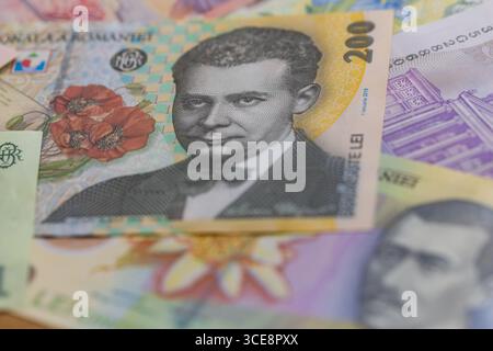Eine flache Komposition rumänischer Leu-Banknoten Stockfoto