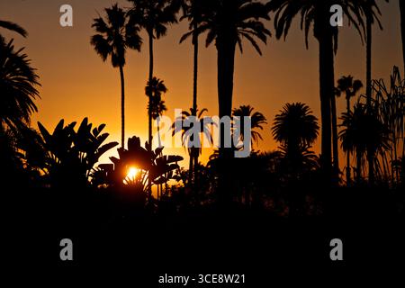 Sonnenuntergang am Strand in Santa Monica Stockfoto