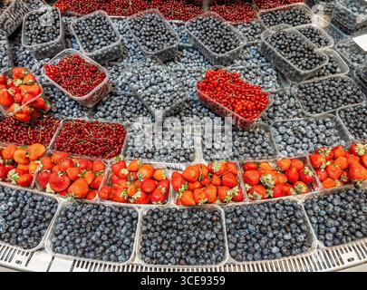 Verschiedene frische Beeren in Einzelhandelsverpackungen, Heidelbeeren, Erdbeeren und rote Johannisbeeren, die ordentlich gestapelt sind, für lebendige Lebensmittelpräsentationen und Verkaufsaktionen Stockfoto