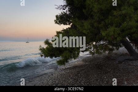 Eine friedliche Küstenszene mit sanften Wellen am Kiesstrand, umgeben von üppigen Bäumen, und einem sanften Sonnenuntergang, der das ruhige Wasser erhellt Stockfoto