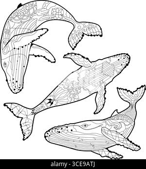 Set schwimmender Wale für Anti-Stress-Malseite. Stock Vektor