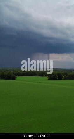 Regen fällt aus den dunklen Wolken über dem Grasland Stockfoto